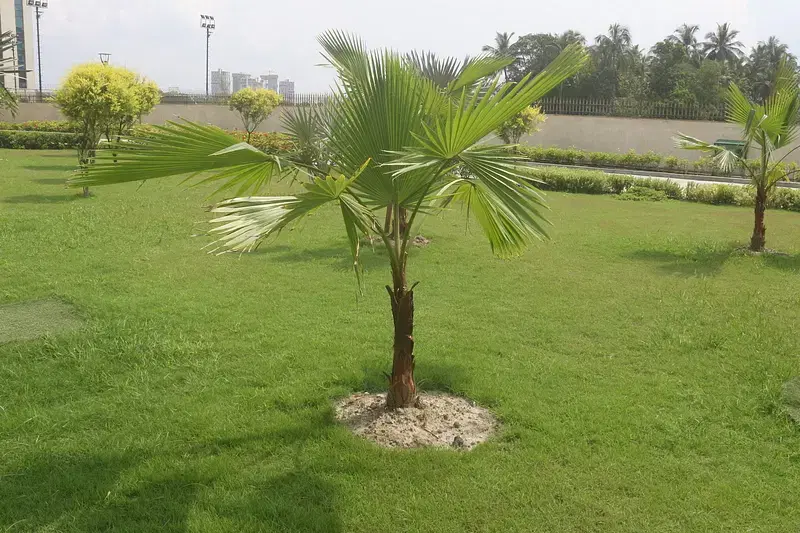 Amity University Kolkata Campus photo 2